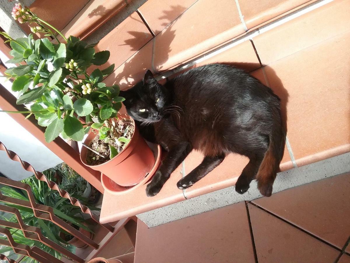 Appartamento Relax Terni Exterior photo